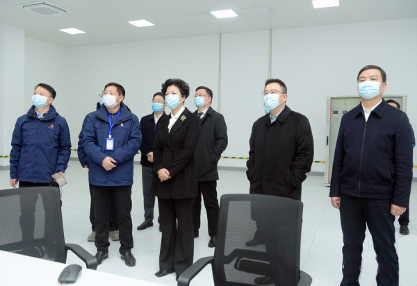 湖南電科院檢測集團有限公司 低壓實驗室在湘鄉正式投運
